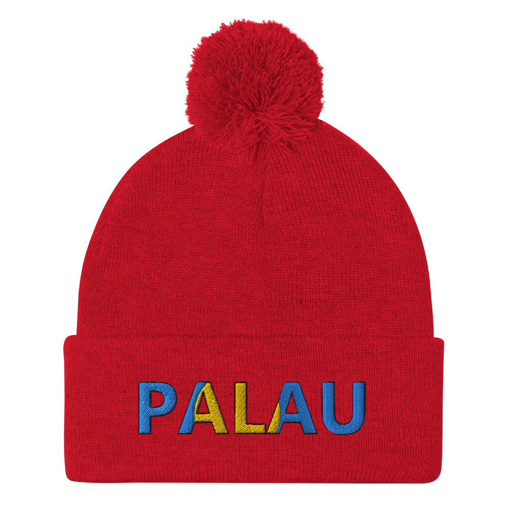 Pom-Pom Beanie